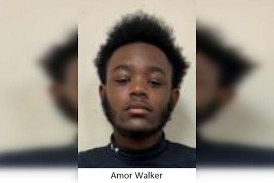 Camden County Police Seek Public's Help in Locating Missing Teenager Amor Walker from Centerville
