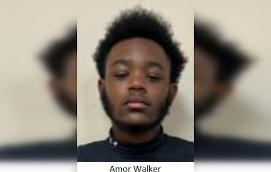 Camden County Police Seek Public's Help in Locating Missing Teenager Amor Walker from Centerville