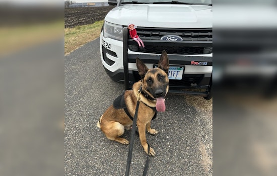 Carver County Sheriff's Office Bids Farewell to Jingle the Elf, Their Festive Seasonal Helper