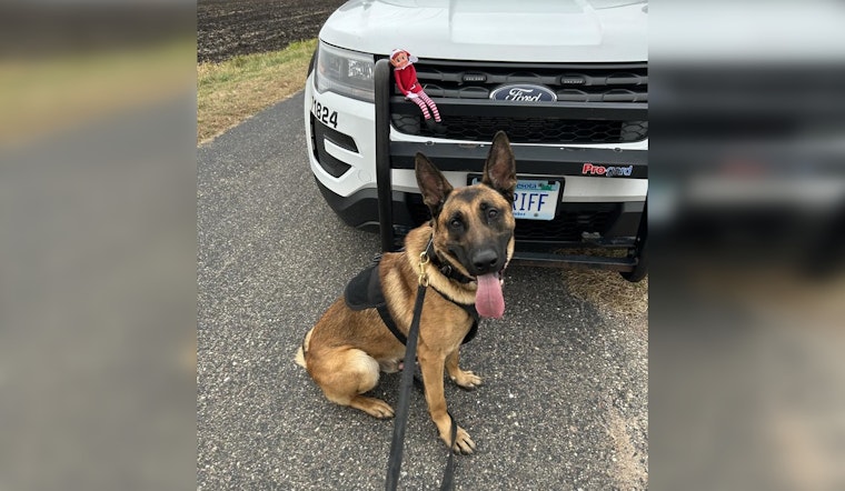 Carver County Sheriff's Office Bids Farewell to Jingle the Elf, Their Festive Seasonal Helper