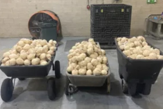 CBP Intercepts $7.5 Million in Methamphetamine at Pharr International Bridge