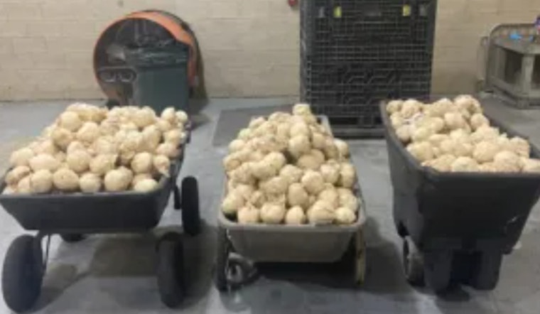 CBP Intercepts $7.5 Million in Methamphetamine at Pharr International Bridge