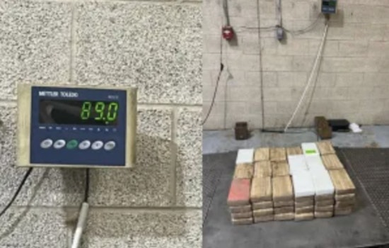 CBP Seizes Over $3 Million in Narcotics at Hidalgo and Pharr International Bridges in Texas