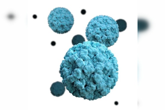 CDC Data Indicates Significant Rise in Norovirus Outbreaks Across U.S. During Winter Season