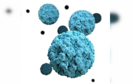 CDC Data Indicates Significant Rise in Norovirus Outbreaks Across U.S. During Winter Season