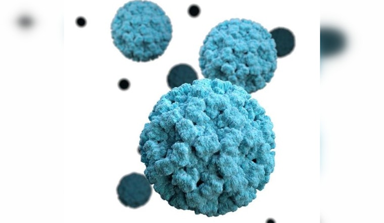 CDC Data Indicates Significant Rise in Norovirus Outbreaks Across U.S. During Winter Season