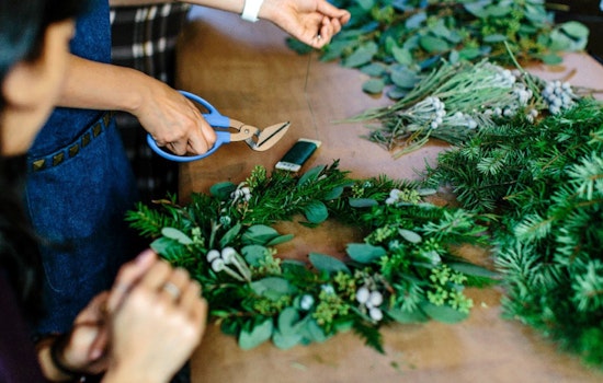 Charlotte Solid Waste Services Shares Tips for Holiday Waste Collection and Tree Disposal