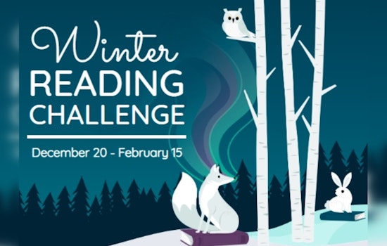 Chatham County Public Libraries Launch Winter Reading BINGO Challenge for Kids and Teens