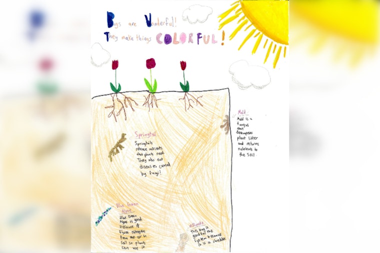 Chatham Soil & Water Conservation District Launches "Wetlands are Wonderful" Youth Competitions in Pittsboro