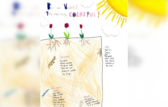 Chatham Soil & Water Conservation District Launches "Wetlands are Wonderful" Youth Competitions in Pittsboro