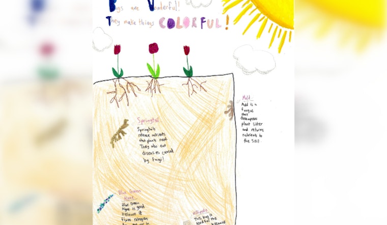 Chatham Soil & Water Conservation District Launches "Wetlands are Wonderful" Youth Competitions in Pittsboro