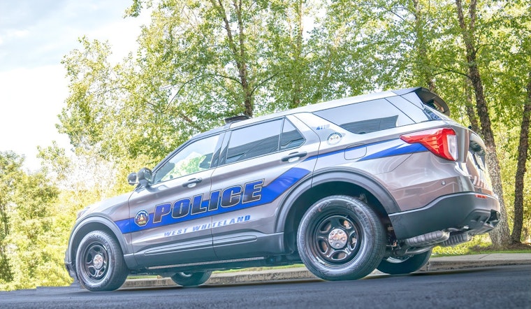 Chester County Woman Killed, Child Injured as Tree Falls on SUV in West Whiteland Township