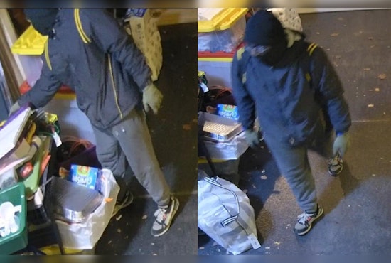 Chicago Police Issue Burglary Alert in Bowmanville, Suspect Sought for Theft