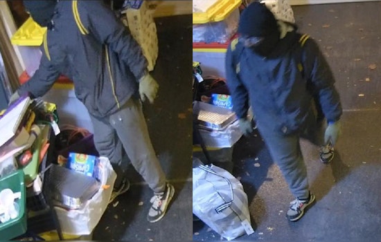 Chicago Police Issue Burglary Alert in Bowmanville, Suspect Sought for Theft