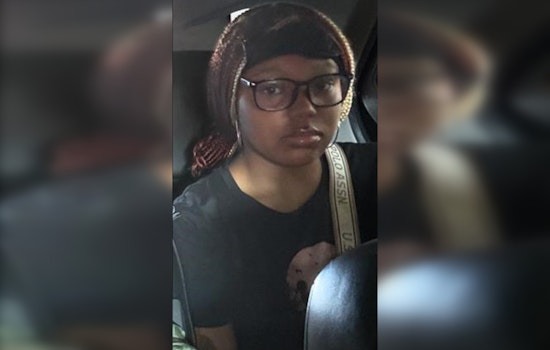 Chicago Police Seek Help to Locate Missing 14-Year-Old Alyssah Holloway