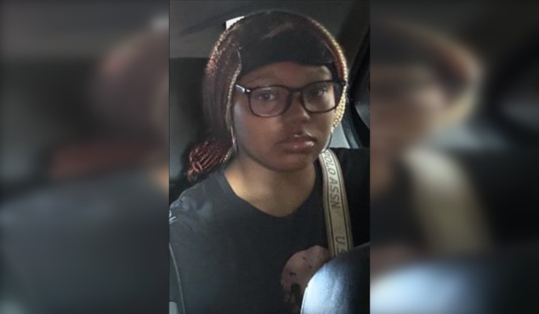 Chicago Police Seek Help to Locate Missing 14-Year-Old Alyssah Holloway