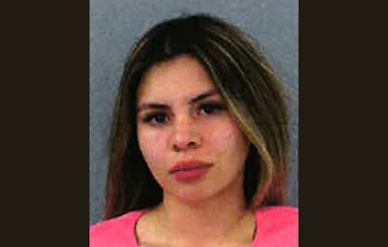 Chilean National Charged in Series of Oakland County Home Invasions, Novi Police Arrest One, Seek Additional Suspects