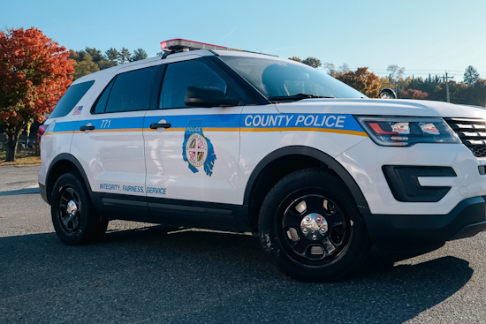 Christmas Tragedy in Rosedale: Juvenile Killed, Three Injured in Domestic Shooting Incident