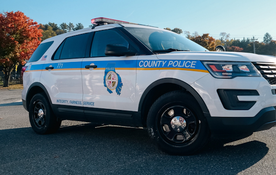 Christmas Tragedy in Rosedale: Juvenile Killed, Three Injured in Domestic Shooting Incident