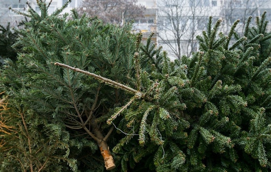 Clarksville Encourages Eco-Friendly Post-Holiday Clean-Up with Christmas Tree Recycling Program at Heritage Park