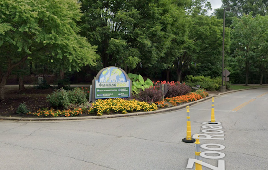 Cleveland Metroparks Zoo Extends Wild Winter Lights Event to Jan 5 Amid Soaring Popularity
