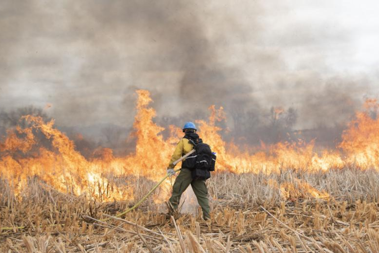 Controlled Burns Scheduled Near Superior, Boulder County Seeks to Rejuvenate Land Safely