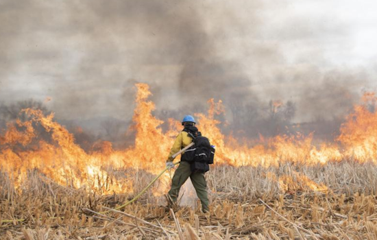 Controlled Burns Scheduled Near Superior, Boulder County Seeks to Rejuvenate Land Safely