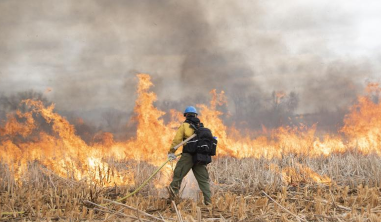 Controlled Burns Scheduled Near Superior, Boulder County Seeks to Rejuvenate Land Safely