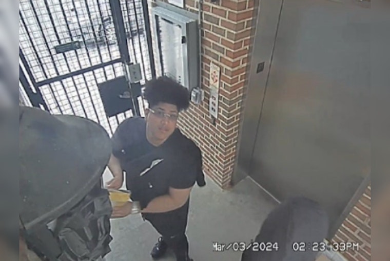 D.C. Man Charged With Armed Robbery of Postal Worker and Series of Mail Thefts