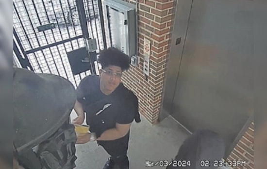 D.C. Man Charged With Armed Robbery of Postal Worker and Series of Mail Thefts