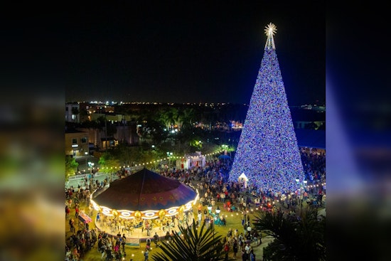 Delray Beach Celebrates 31st Annual Lighting of 100-Foot Christmas Tree at Old School Square