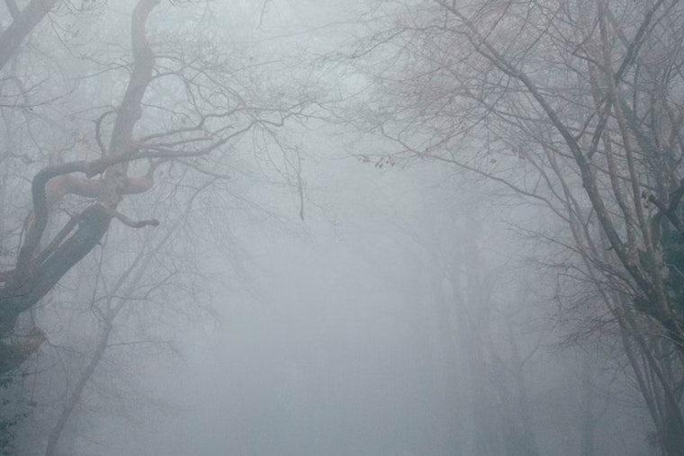 Dense Fog Advisory Issued for Sacramento and Northern San Joaquin Valley with Cooler Weather Ahead