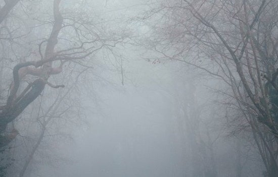 Dense Fog Advisory Issued for Sacramento and Northern San Joaquin Valley with Cooler Weather Ahead