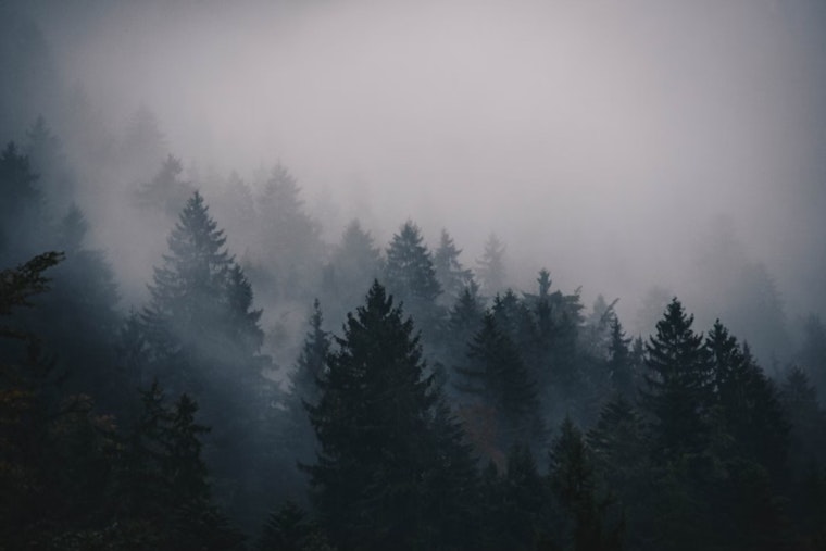 Dense Fog Advisory Issued for South-Central Wisconsin, Milwaukee Commuters Cautioned