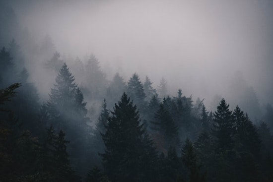 Dense Fog Advisory Issued for South-Central Wisconsin, Milwaukee Commuters Cautioned