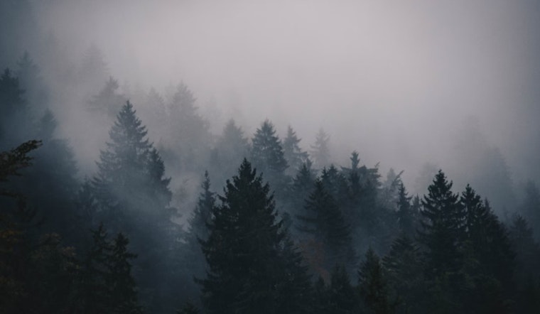 Dense Fog Advisory Issued in New Orleans, Morning Commuters Cautioned