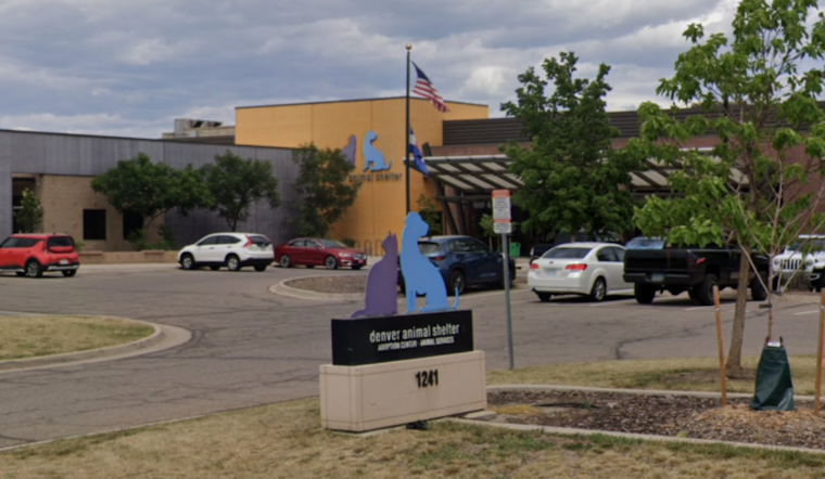 Denver Animal Shelter Alerts Public to Brazen Scam Targeting Owners of Lost Pets