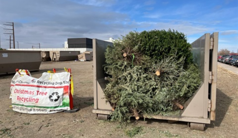 Denver Invites Residents to Recycle Holiday Trees and Lights for a Greener New Year