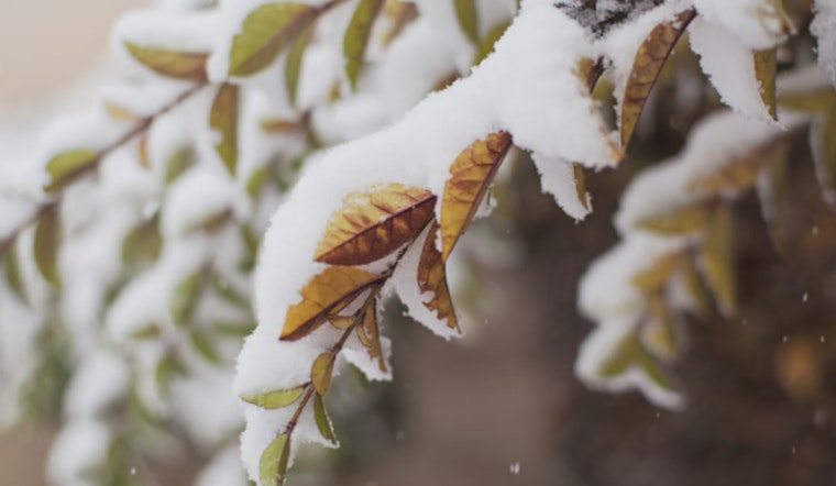 Detroit Braces for Wintry Mix, Snow, Winds, and Chilly Temps Forecasted This Week