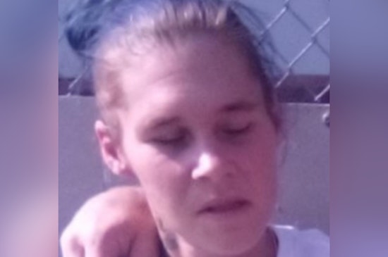 Detroit Police Seek Public's Aid in Locating Missing Woman Dawn Neilson Since Thanksgiving