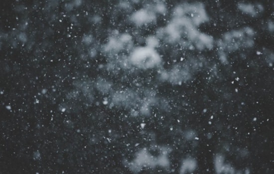 Detroit Weather Alert, Week of Winter Mix with Snow, Winds, and Rising Rain Chances