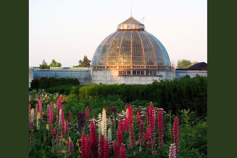 Detroit's Anna Scripps Whitcomb Conservatory Blooms Anew with $10 Million Renovation