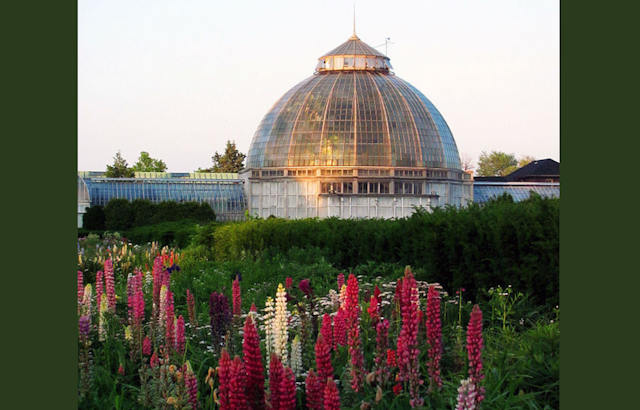 Detroit's Anna Scripps Whitcomb Conservatory Blooms Anew with $10 Million Renovation