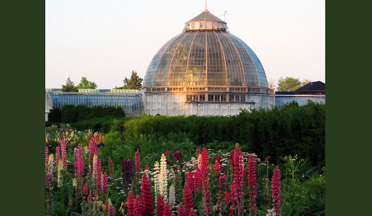 Detroit's Anna Scripps Whitcomb Conservatory Blooms Anew with $10 Million Renovation