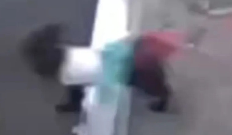 Eagles Cornerback Kelee Ringo's Mother Pleads for Return of Stolen Dog