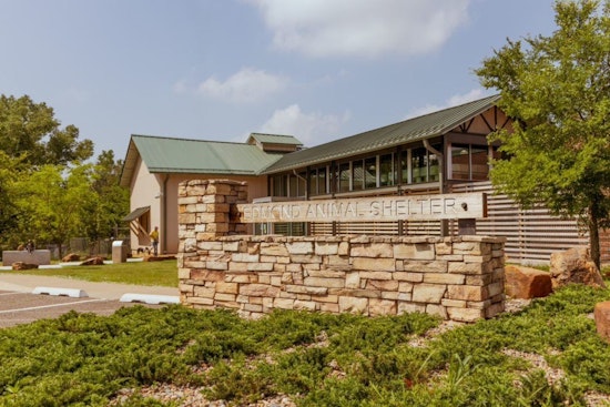 Edmond Animal Shelter Exceeds Rescue and Care Goals; Advocates for Responsible Pet Ownership
