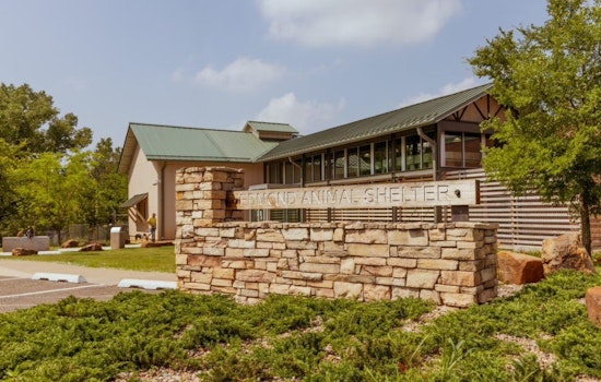 Edmond Animal Shelter Exceeds Rescue and Care Goals; Advocates for Responsible Pet Ownership