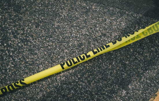 Elderly Man Fatally Struck by Semi-Truck on Long Island Expressway Near Clearview Expressway