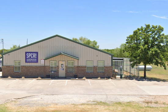 Ellis County SPCA Reopens After Health Scare, All Animals Clear of Infection
