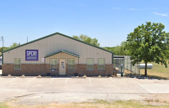 Ellis County SPCA Reopens After Health Scare, All Animals Clear of Infection